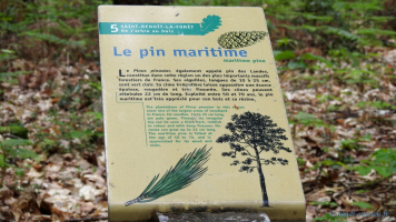 image de la galerie