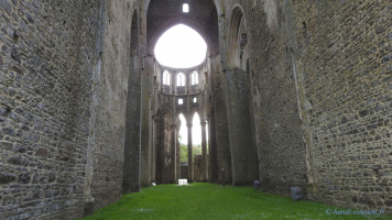 image de la galerie