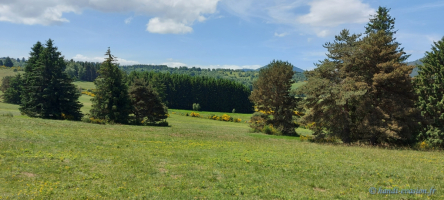 image de la galerie