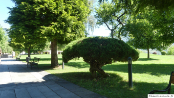 image de la galerie