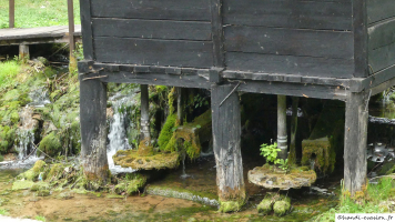 image de la galerie
