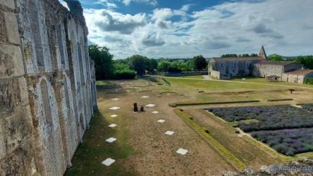 abbaye-de-maillezais