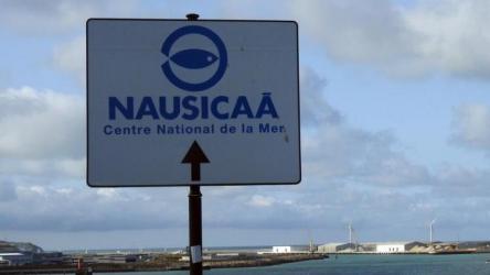 nausicaa-centre-national-de-la-mer