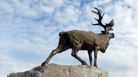 memorial-terre-neuvien-de-beaumont-hamel