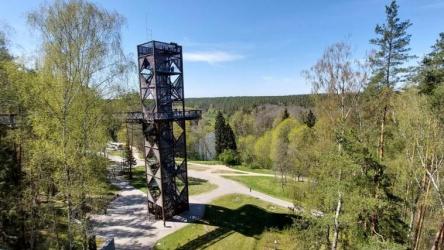 treetop-walking-path