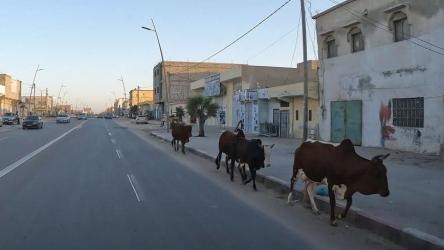 nouadhibou