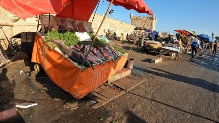 essaouira