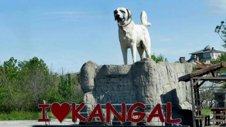 le-kangal